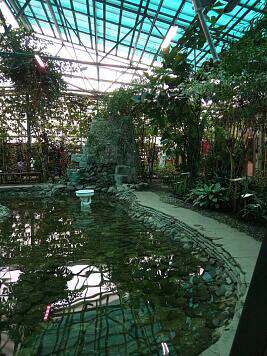 0+ Мероприятия Вологодского Ботанического сада