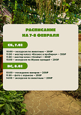 Мастер-классы ботанического сада "Ботаника"