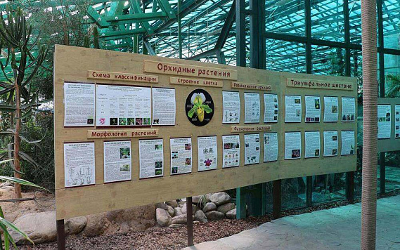 Музей орхидей в Вологде