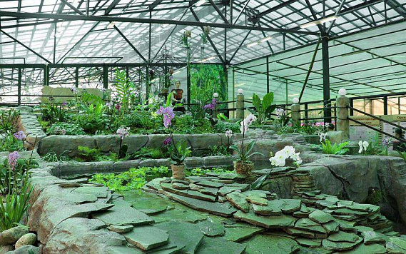 Музей орхидей в Вологде