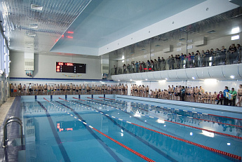 0+ Бассейн «Динамо»