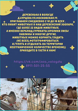 Контактный зоопарк "Деревенька" 